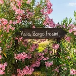 Il Borgo * Arezzo