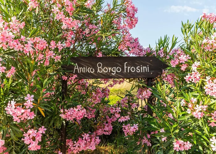 Il Borgo * أريتسو